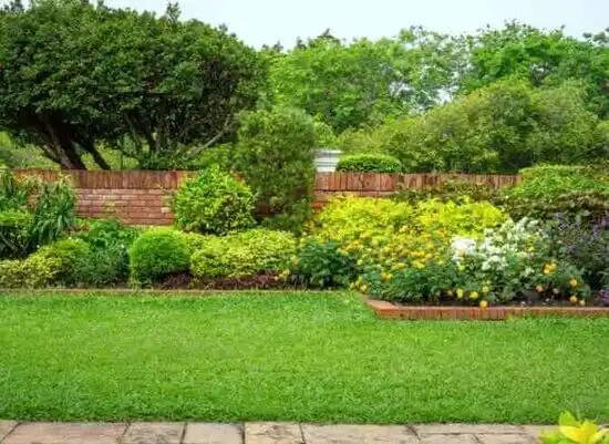 landscaping services La Vale